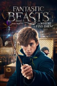 Fantastic Beasts and Where to Find Them (2016) Sinhala Subtitles | සිංහල උපසිරැසි සමඟ