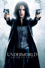 Underworld: Awakening (2012) Sinhala Subtitles | සිංහල උපසිරැසි සමඟ