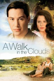 A Walk in the Clouds (1995)  Sinhala Subtitles | සිංහල උපසිරැසි සමඟ