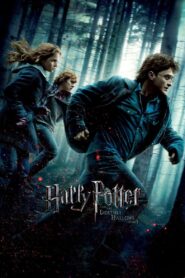 Harry Potter and the Deathly Hallows: Part 1 (2010) Sinhala Subtitle | සිංහල උපසිරැසි සමඟ