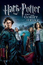 Harry Potter and the Goblet of Fire (2005) Sinhala Subtitle | සිංහල උපසිරැසි සමඟ