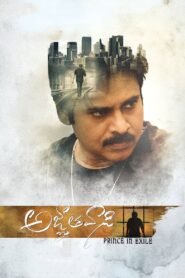 Agnyaathavaasi (2018) Sinhala Subtitle | සිංහල උපසිරැසි සමඟ