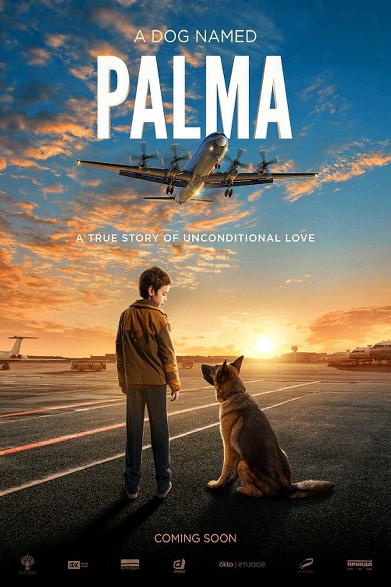 Palma (2021) Sinhala Subtitle | සිංහල උපසිරැසි සමඟ