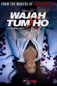 Wajah Tum Ho (2016) Sinhala Subtitle | සිංහල උපසිරැසි සමඟ