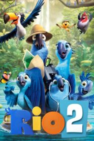 Rio 2 (2014)  Sinhala Subtitle | සිංහල උපසිරැසි සමඟ