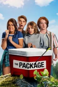 The Package (2018) Sinhala Subtitle | සිංහල උපසිරැසි සමඟ