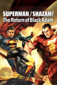 Superman/Shazam!: The Return of Black Adam (2010) Sinhala Subtitle | සිංහල උපසිරැසි සමඟ