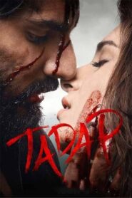 Tadap (2021) Sinhala Subtitle | සිංහල උපසිරැසි සමඟ