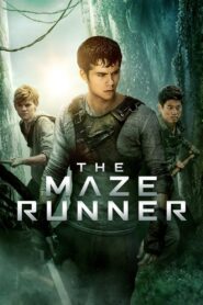 The Maze Runner (2014) Sinhala Subtitle | සිංහල උපසිරැසි සමඟ