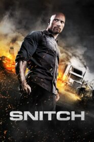 Snitch (2013) Sinhala Subtitle | සිංහල උපසිරැසි සමඟ