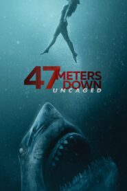 47 Meters Down: Uncaged (2019) Sinhala Subtitle | සිංහල උපසිරැසි සමඟ