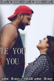 I Hate You – I Love You – Final Chapter (2021) Sinhala Subtitle | සිංහල උපසිරැසි සමඟ