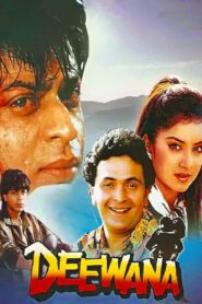 Deewana (1992) Sinhala Subtitle | සිංහල උපසිරැසි සමඟ