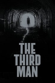 The Third Man (1949) Sinhala Subtitle | සිංහල උපසිරැසි සමඟ