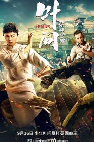 Ip Man: The Awakening (2022) Sinhala Subtitle | සිංහල උපසිරැසි සමඟ