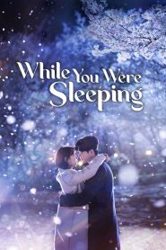 While You Were Sleeping (2017) TV Series | Complete Season 01