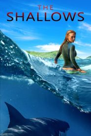 The Shallows (2016) Sinhala Subtitles  | සිංහල උපසිරැසි සමඟ