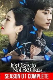 It’s Okay to Not Be Okay (2020) TV Series | Season 01 Complete