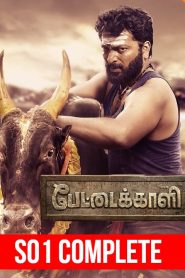 Pettaikaali (2022) TV Series Season 01 EP01-04