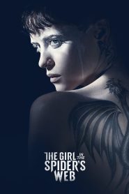 The Girl In The Spider’s Web (2018) Sinhala Subtitles