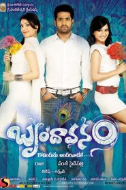 Brindaavanam (2010) Sinhala Subtitles | සිංහල උපසිරැසි සමඟ