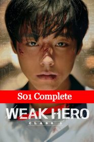 Weak Hero Class 1 (2022) TV S01 Complete