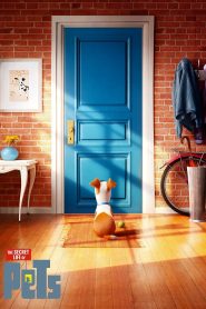 The Secret Life of Pets (2016) Sinhala Subtitles | සිංහල උපසිරැසි සමඟ