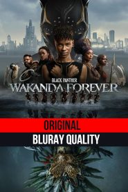 Black Panther: Wakanda Forever (2022) Sinhala Subtitles | සිංහල උපසිරැසි සමඟ | Original BluRay Quality