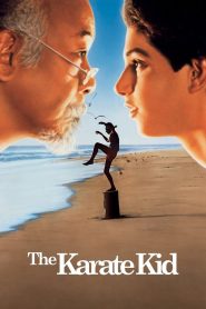 The Karate Kid (1984) Sinhala Subtitles | සිංහල උපසිරැසි සමඟ