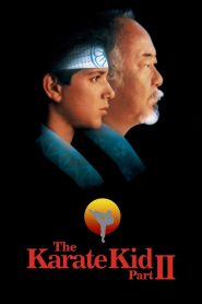 The Karate Kid Part 2 (1986) Sinhala Subtitles | සිංහල උපසිරැසි සමඟ