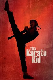 The Karate Kid (2010) Sinhala Subtitles | සිංහල උපසිරැසි සමඟ