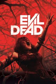 Evil Dead (2013) Sinhala Subtitles | සිංහල උපසිරැසි සමඟ