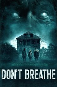 Don’t Breathe (2016) Sinhala Subtitles | සිංහල උපසිරැසි සමඟ