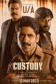 Custody (2023) Sinhala Subtitles | සිංහල උපසිරැසි සමඟ