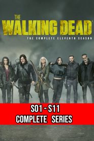 The Walking Dead (TV Series 2010-2022) TV S01- S11 Complete Series