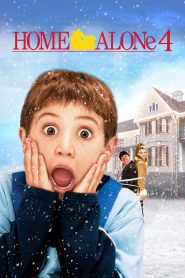 Home Alone 4 (2002) Sinhala Subtitles | සිංහල උපසිරැසි සමඟ