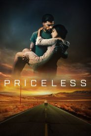 Priceless (2016) Sinhala Subtitles | සිංහල උපසිරැසි සමඟ