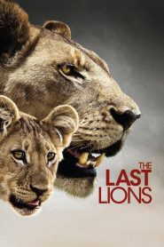 The Last Lions (2011) Sinhala Subtitles | සිංහල උපසිරැසි සමඟ