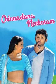 Chinnadana Nee Kosam (2014) Sinhala Subtitles | සිංහල උපසිරැසි සමඟ