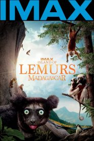 Island of Lemurs: Madagascar (2014) Sinhala Subtitles | සිංහල උපසිරැසි සමඟ