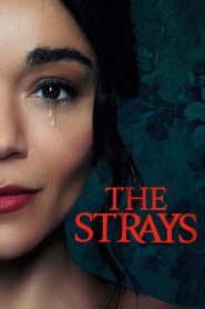 The Strays (2023) Sinhala Subtitles | සිංහල උපසිරැසි සමඟ