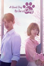 A Good Day to be a Dog (2023) TV S01 Complete