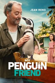 My Penguin Friend (2024) Sinhala Subtitles | සිංහල උපසිරැසි සමඟ