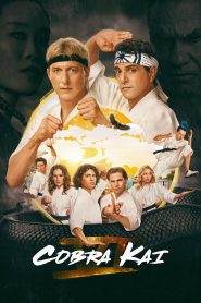 Cobra Kai TV Series | Season  S01-06 Incomplete|  S06 E01-14