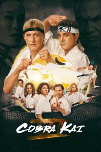 Cobra Kai TV Series | Season  S01-06 Complete