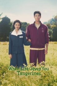 When Life Gives You Tangerines (2025) TV Series | S01 | EP01 | Incomplete