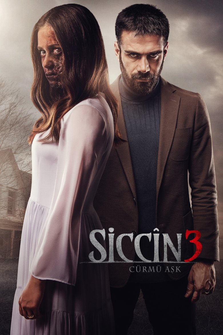 Sijjin 3: The Forbidden Love (2016) Sinhala Subtitles | සිංහල උපසිරැසි සමඟ