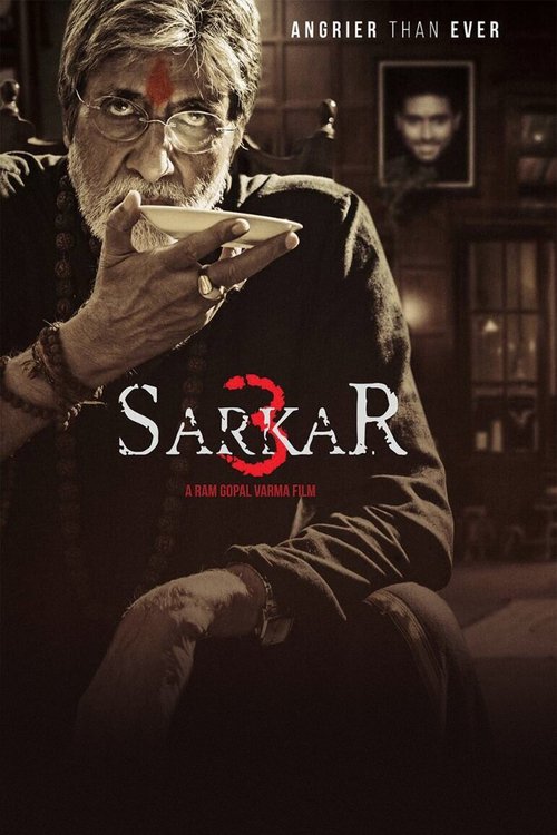 Sarkar 3 (2017) Sinhala Subtitles | සිංහල උපසිරැසි සමඟ